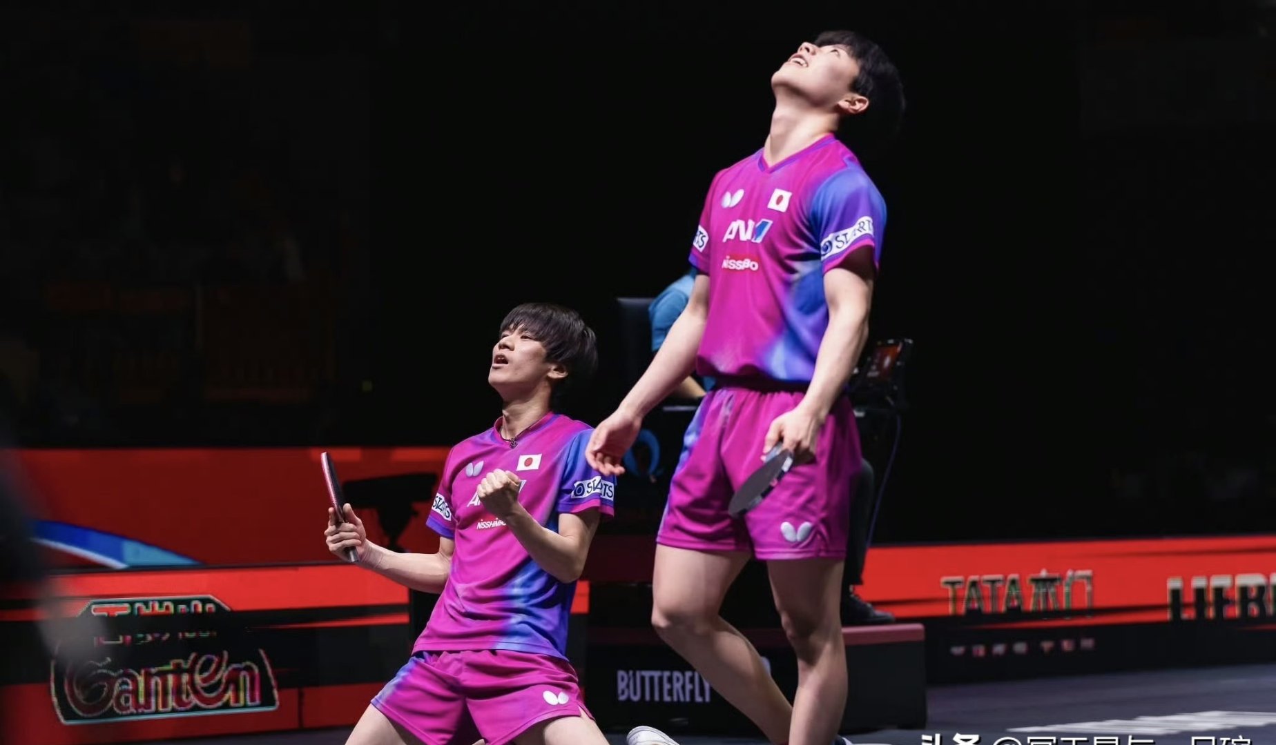 比利时乒乓球队鏖战德国乒乓球队,张本智和统治全场的简单介绍 比利时乒乓球队鏖战德国乒乓球队,张本智和统治全场的简单介绍