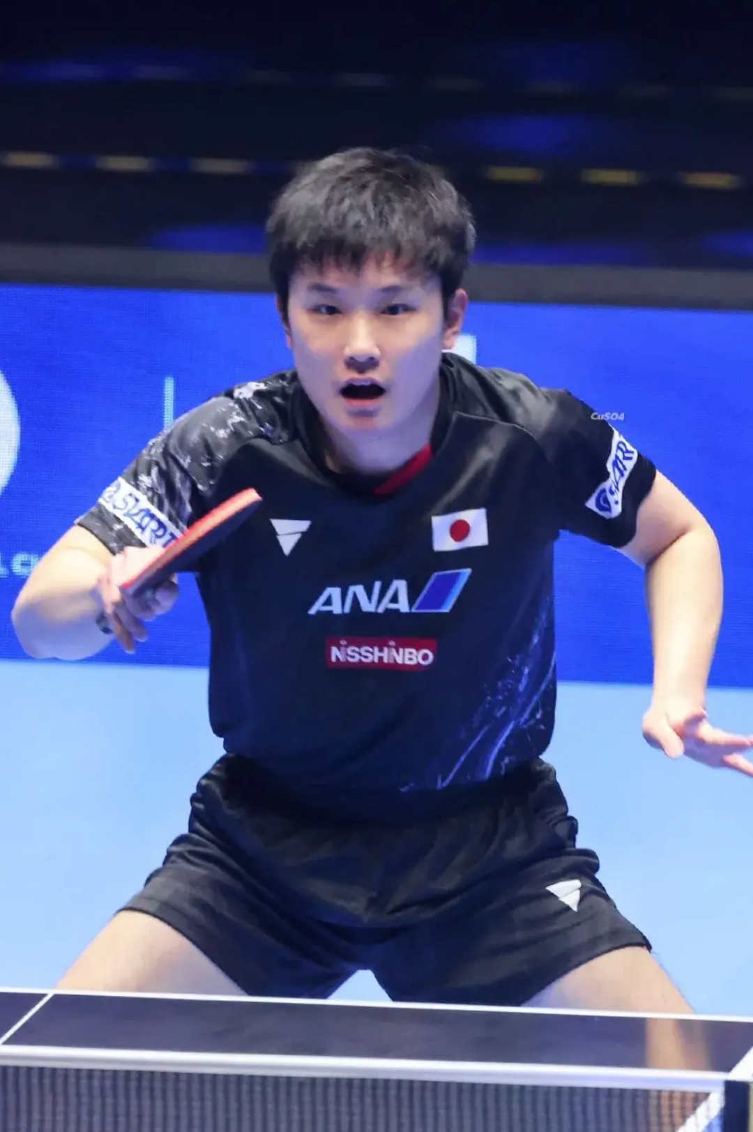 包含日本乒乓球队力克韩国乒乓球队,张本智和爆发神勇的词条 包含日本乒乓球队力克韩国乒乓球队,张本智和爆发神勇的词条