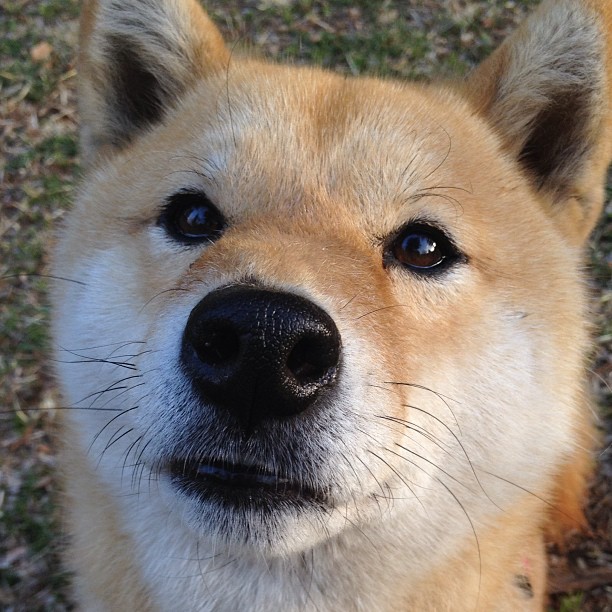 雷霆轻取深圳队，杰伦·格林闪耀成为关键先生