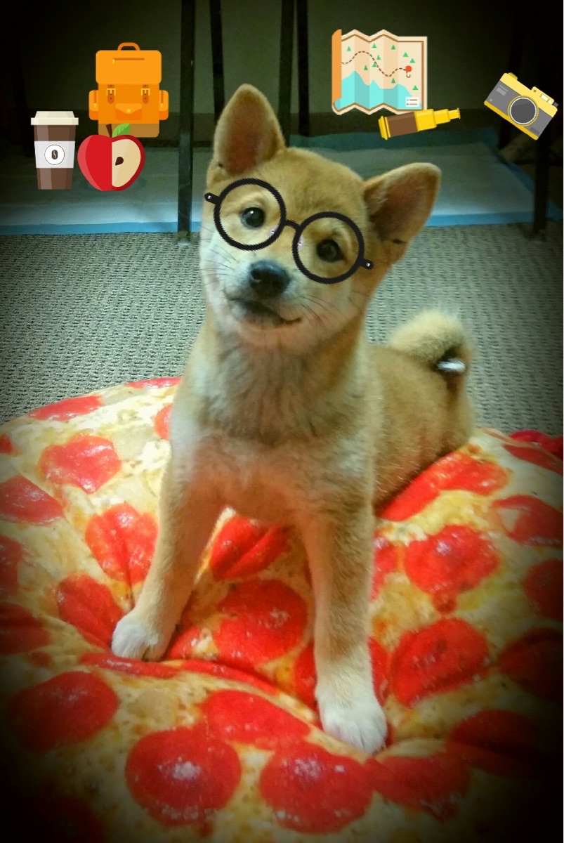 意甲焦点战之夜，恩比德式个人能力的足球诠释