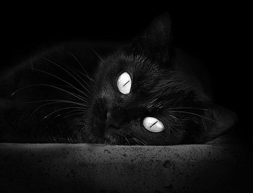 捍卫荣耀!76人爆冷击败勇士,生死战里的热血与谋略