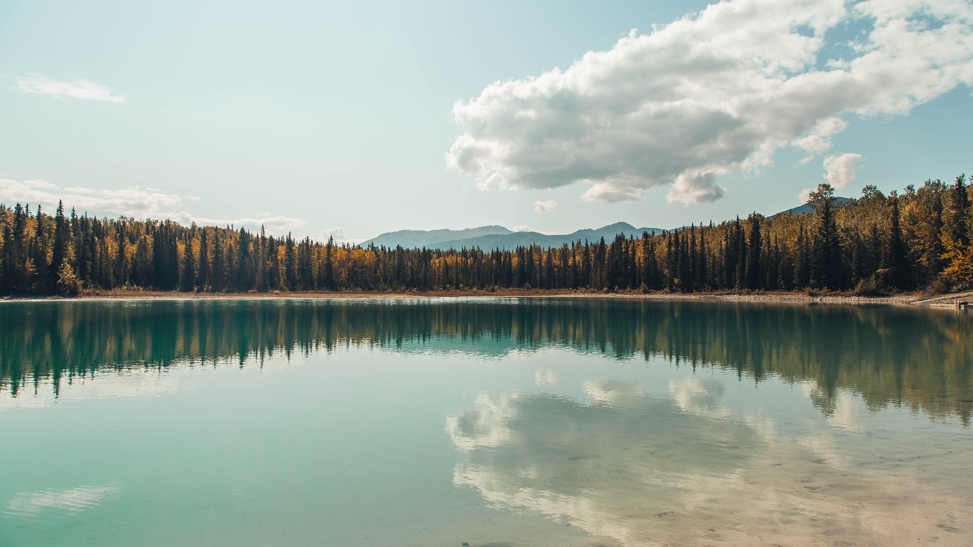 东瀛武士斩落巴黎王者,富安健洋在年度焦点之战中的无声制霸