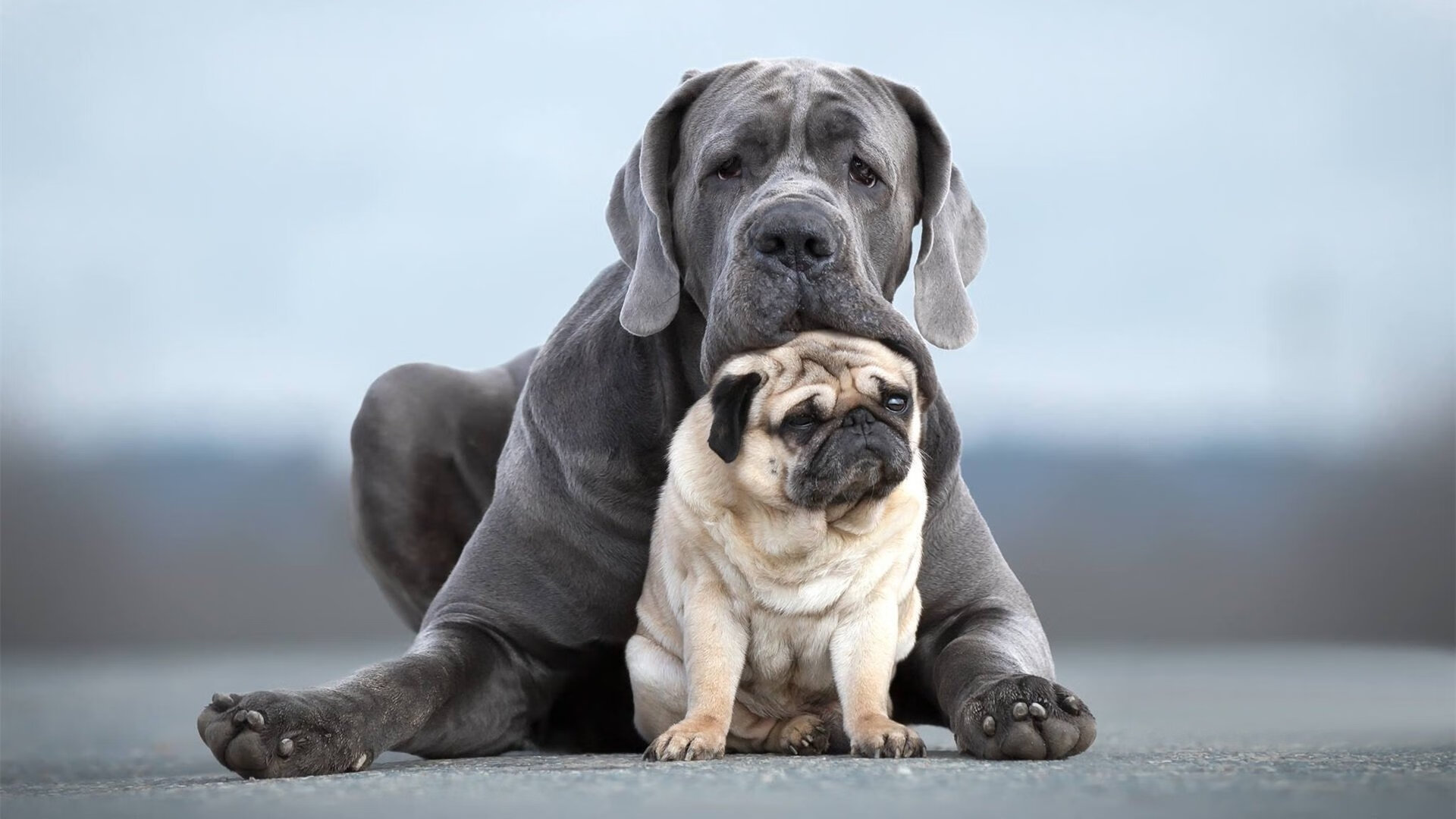 叙事结构，当欧冠的夜晚遇见杜兰特的剑
