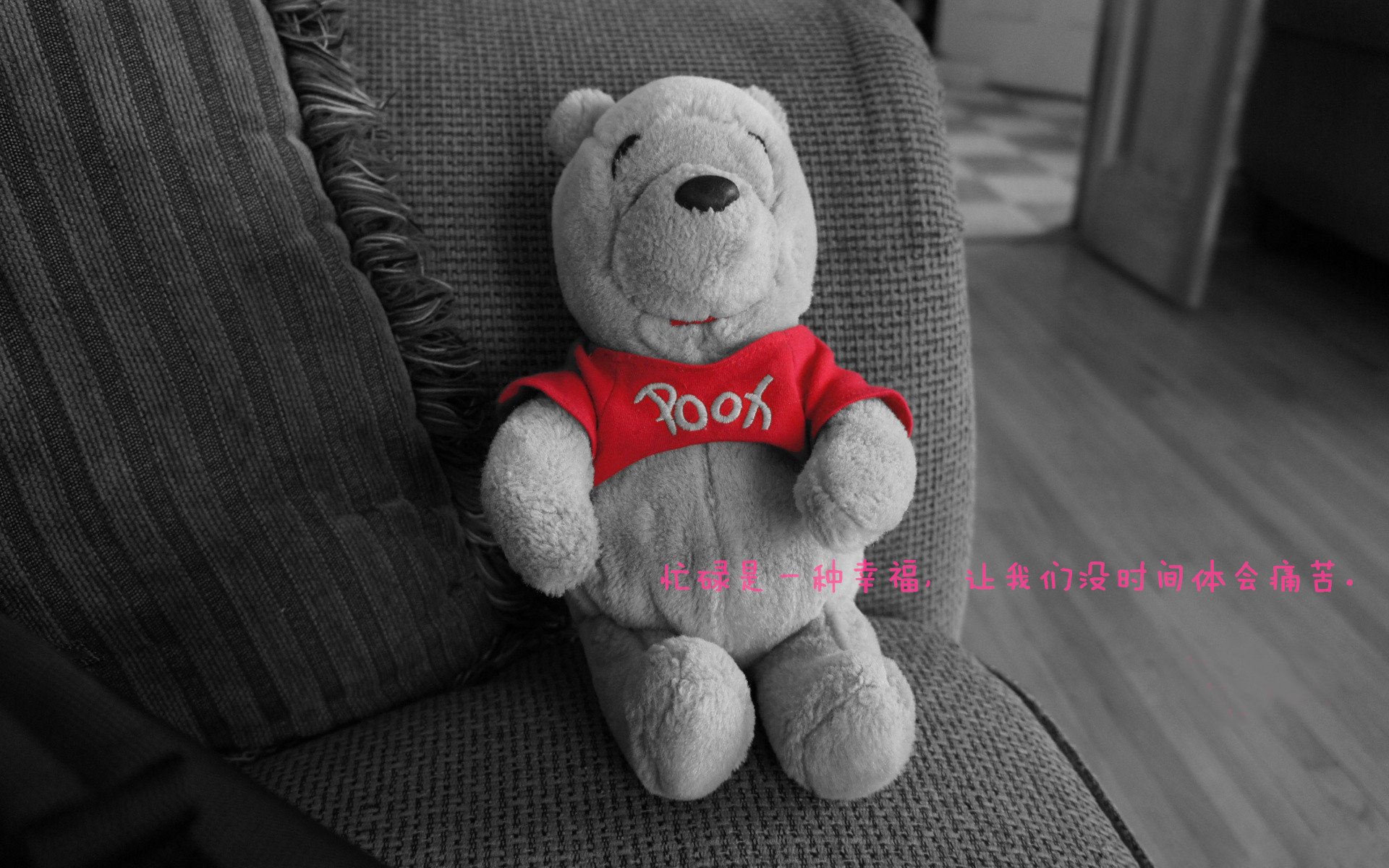 战术压制与巨星闪耀,篮网克太阳,锡安东决接管比赛