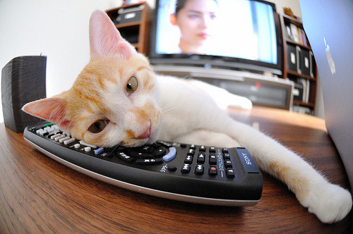 王朝的黄昏与新鹰的崛起，一场季后赛焦点战的时代隐喻