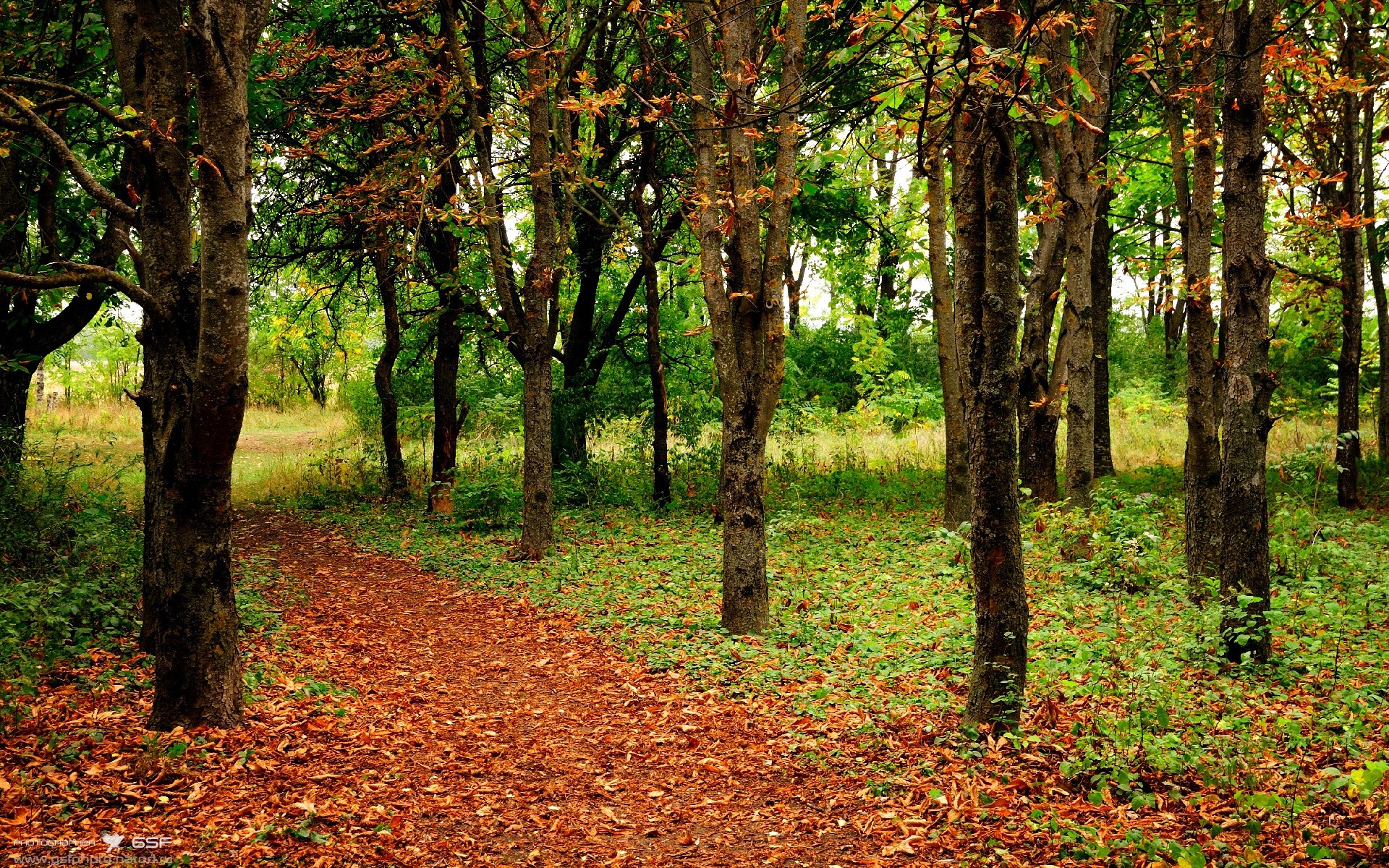 莫兰特定江山！雷霆硬仗擒奇才，关键先生诞生记