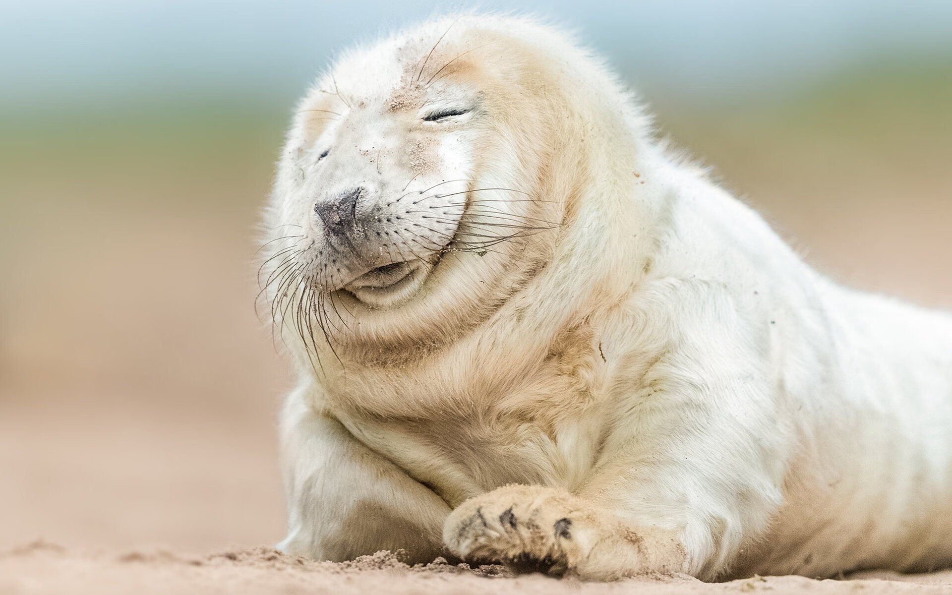 两个战场,足球如何为个人与民族写下救赎篇章