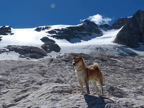 关键先生小贾伦率北京队逆转浙江，末节爆发定乾坤