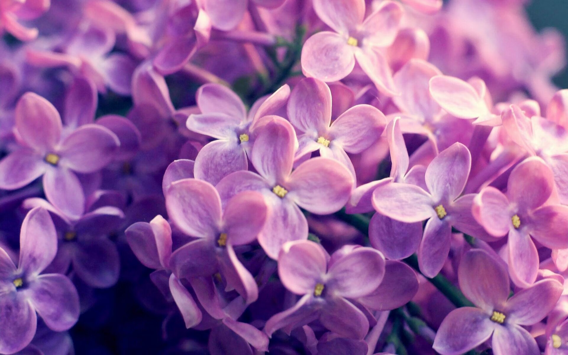 吉林战术镜像雄鹿，武切维奇世界杯接管之战昭示篮球未来密码