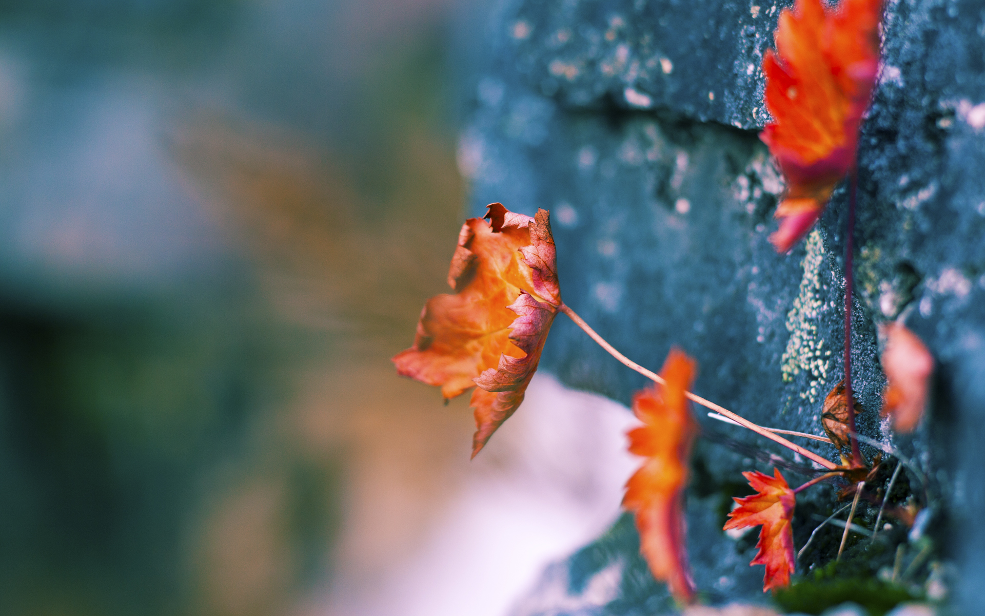 库里超越三分线，太阳加时鏖战的终极答案