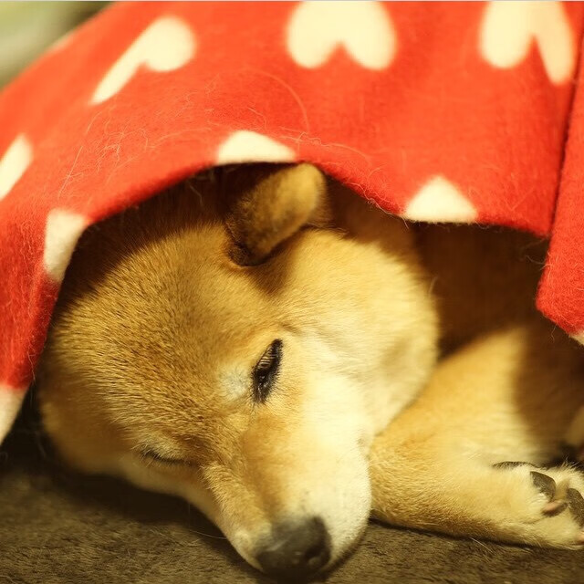 疆域轰鸣与欧陆神射，当压哨绝杀遇见冠军接管