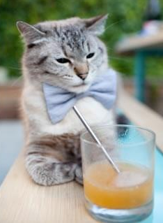 浙江队战术网压下，欧文绝境中绽放的孤星光芒