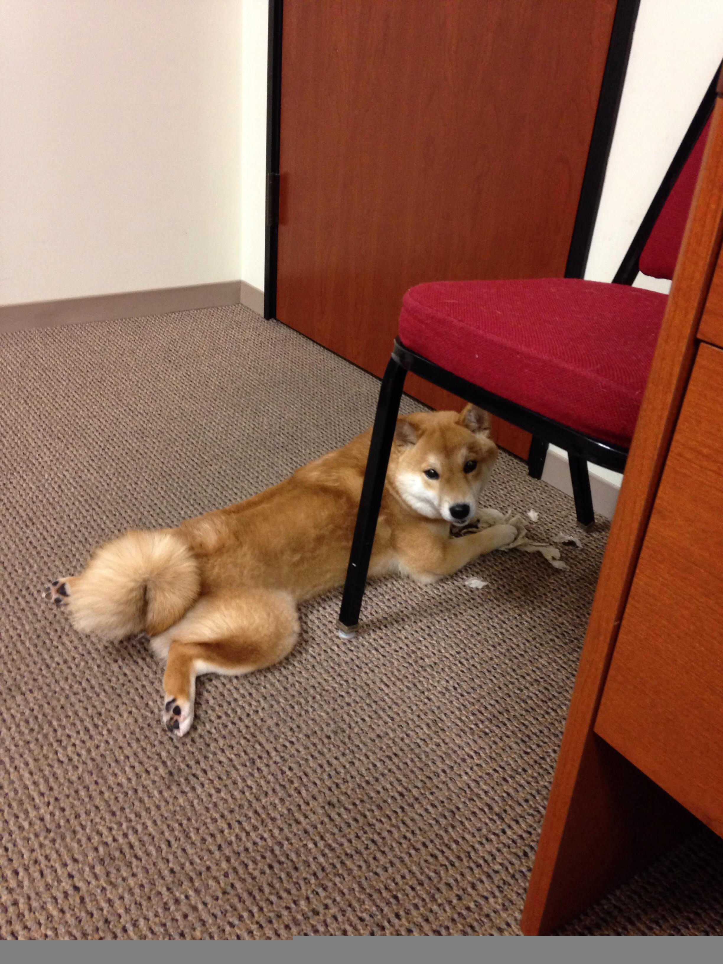 高原奇迹!巴萨客场掀翻玻利维亚,穆勒完美发挥铸就经典之战