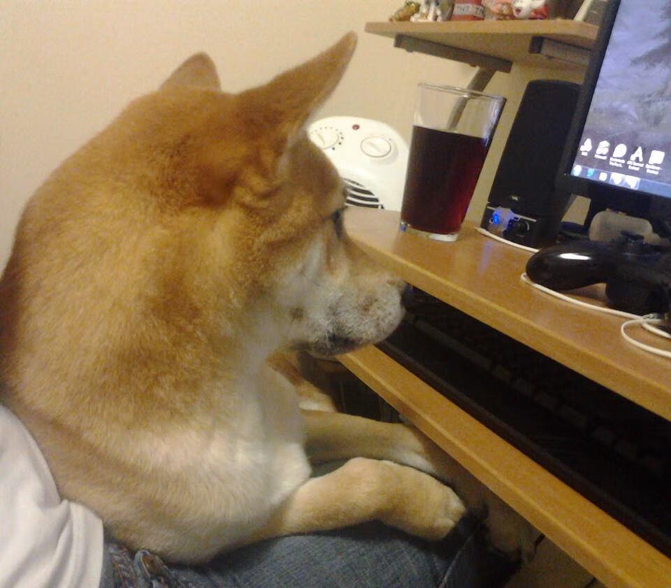 硬仗中升起不落太阳，从NBA赛场到美加墨世界杯的竞技启示